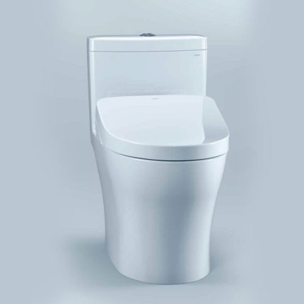 One Piece Toilet