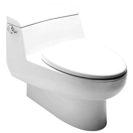 AMERICAN STANDARD IDS Natural One Piece Toilet