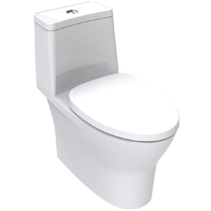 AMERICAN STANDARD Flexio One-Piece Toilet