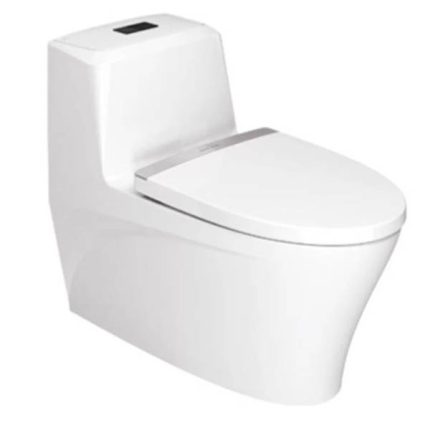 AMERICAN STANDARD Luxus One Piece Toilet