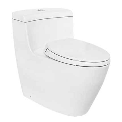 TOTO MS636CDV One Piece Toilet